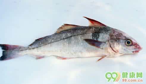 孕妇能吃鳕鱼吗 孕妇能吃鳕鱼吗 孕妇能吃水鳕鱼吗？