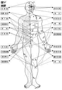 人体要害部位图解 人体108要害穴位