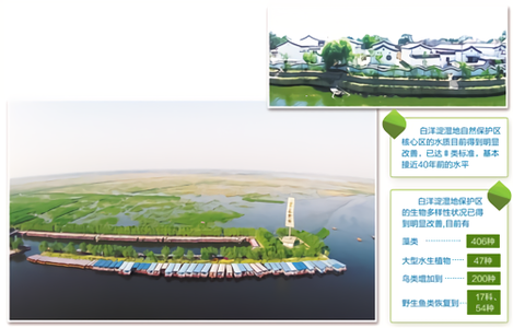 应对全球气候变化措施 分析气候变化对生态保护工程的影响及应对措施