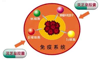 肿瘤和癌症的区别 肿瘤和癌症的区别 肿瘤和癌症的区别 到底什么是“癌症”