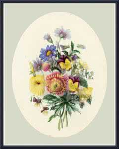 灵魂美文 【美文典藏】灵魂的馨香