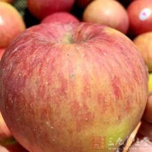 葫芦娃历险记小游戏 小葫仙历险记之它养肾最好173