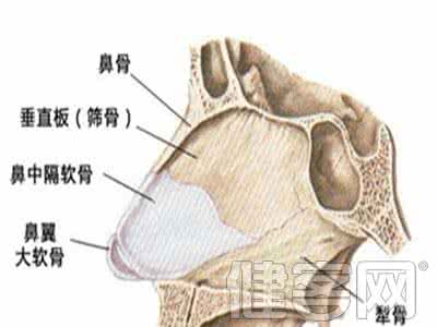 哪些因素会导致不孕 鼻骨骨折 哪些因素会导致鼻骨骨折