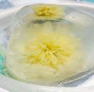 白凉粉做果冻 白凉粉做果冻 凉粉冻了怎么办?