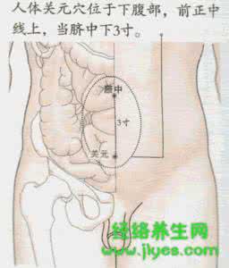 养生保健的重要性 十个重要的养生穴位