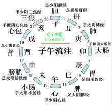 运用子午流注针法秘诀 子午流注针法