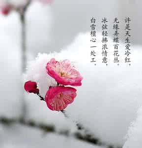 丽人守护神小说林雪梅 丽人红（雪梅 如诗如画如水纯净经典绝唱14首）