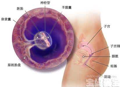 怀孕一个月自然流产 怀孕40天流产什么原因 怀孕一个月自然流产原因