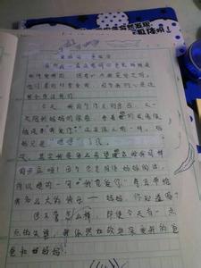 小学六年级作文 小学六年级作文（二）