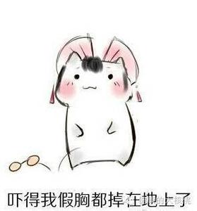 马桶美丽新世界整合包 你整日常摸的它可比马桶还脏