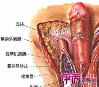 尖锐湿疣初期 尖锐湿疣初期好治吗