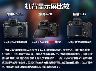 佳能 尼康 索尼 【佳能5D3尼康D800索尼α99 全幅新品选谁（转帖）】