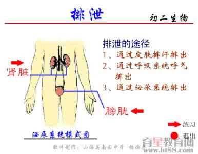 粪便排泄屋 排泄