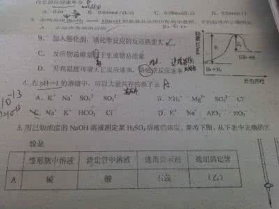 高中化学离子反应教案 高中化学58个精讲（2）离子反应方程_共存