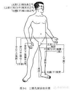 中医基础理论考研笔记 【考研干货】不看后悔！史上最全中医基础理论知识！