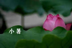 小寒和大寒区别 小暑和大暑哪个热