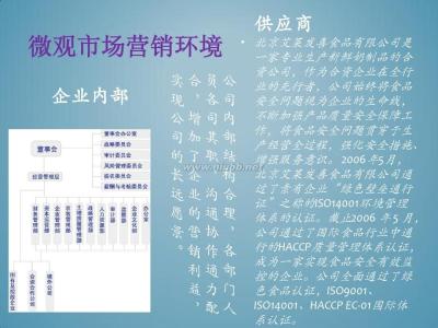 市场营销方案策划书 营销方案书 怎样做市场营销策划书