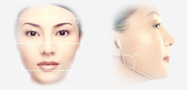 完美脸型的黄金标准 完美脸型的黄金标准 完美性生活 6个黄金性爱标准