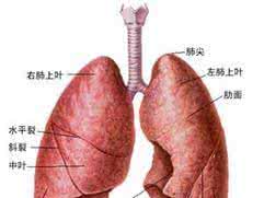 肺部有积水是什么病 肺部积水是什么原因引起的 三种常见病因