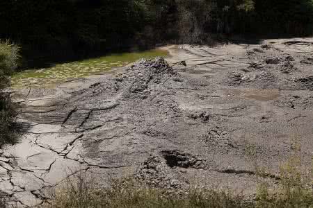 罗托鲁阿地热喷泉 【新西兰】罗托鲁阿三大奇观地热喷泉红杉树林和奇异鸟
