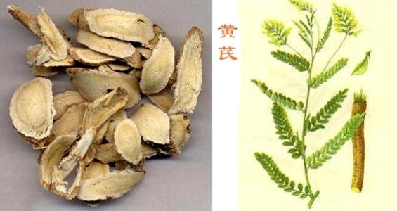 常用煲汤药材 常用煲汤药材实物介绍（中）！