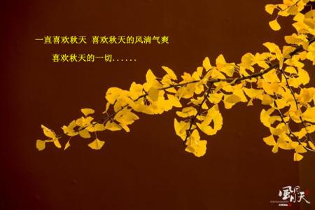 寂静流年遍开花 流年无恙，寂静安然【情感美文】