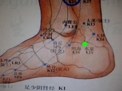 足少阴肾经涌泉穴位位置图按摩涌泉穴的作用与好处