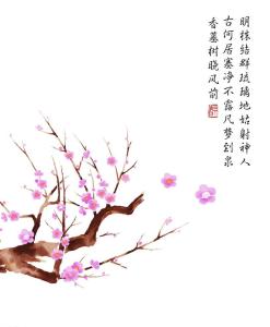 文徵明书梅花诗 9首梅花诗，清幽孤傲，等闲立寒