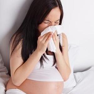 哺乳期间可以吃连翘吗 连翘怀孕了可以吃吗？