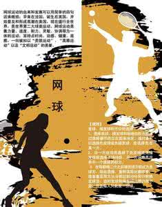 网球王子顺序怎么看 运动常识 网球的质量是怎么看的