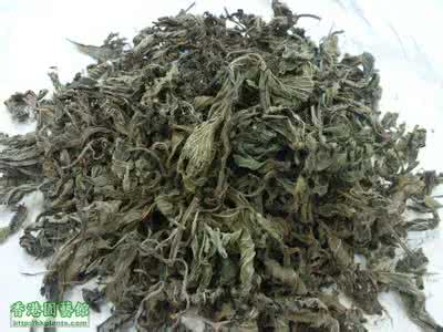 溪黄草茶的功效与作用 溪黄草 溪黄草茶