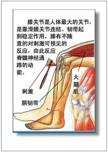 身体器官构造 男女身体器官构造及病理分析