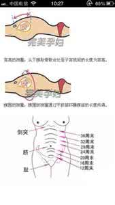 宫高腹围的测量视频 宫高腹围的测量