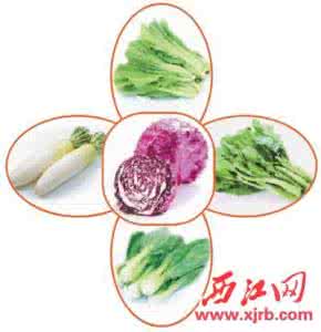 抗衰老蔬菜 补钙 护眼 抗衰老 常见蔬菜的绝活多