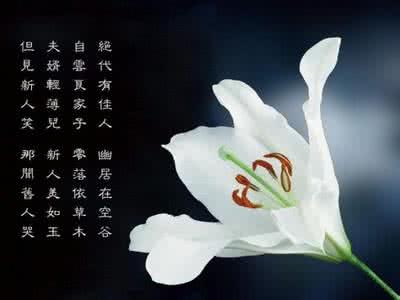 嘉兰花语 花语大全：嘉兰的花语