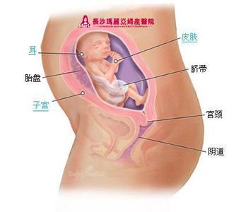 肺气不足 肺气不足影响肤色 八个肺气保养方法改善肤色