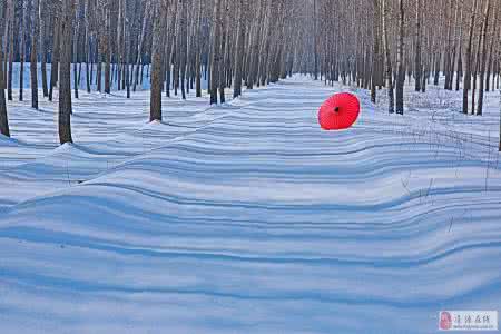 邂逅朗诵 《邂 逅》 〓朗诵〓