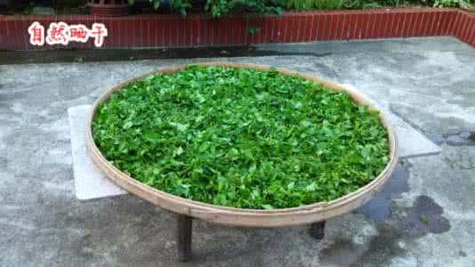 治疗肾结石的偏方 肾结石吃什么可以排石 9个偏方_养生之道网