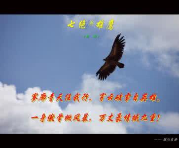 原创七绝咏月季 七绝原创 【原】七绝·题雄鹰