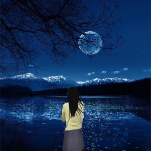 冬夜读书示子聿 冬夜，又把你想起【情感驿站】