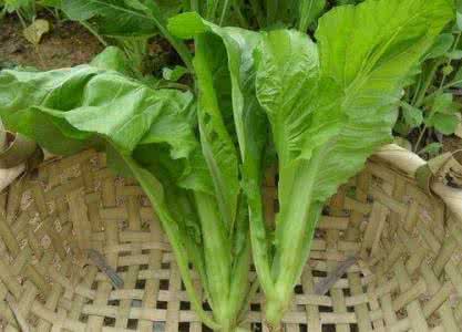 哪些人不适合吃芥菜 哪些人不适合吃芥菜 哪些人不适合吃芥菜？芥菜的副作用有哪些