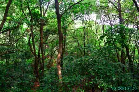 谁的居处开门见山 唯美的居处