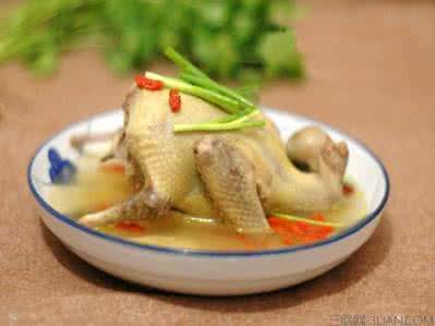 鸽子肉禁忌 鸽子肉是发物吗