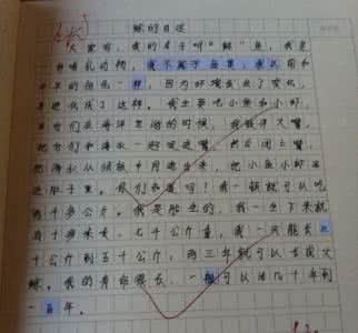 我曾经以为作文 曾以为，殊不知作文500字