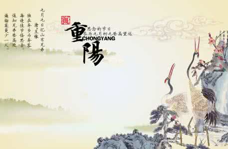 重阳节的感受 重阳节感受作文范文 感悟重阳（800字）