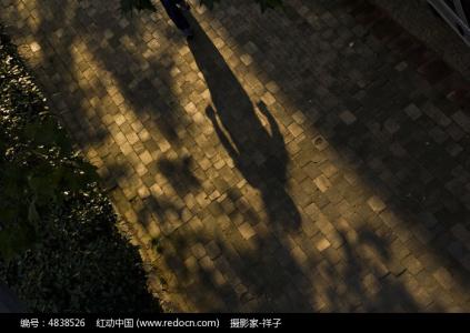 早安心语 早安心语:所有的哀伤,最终都不过是自怜的影子