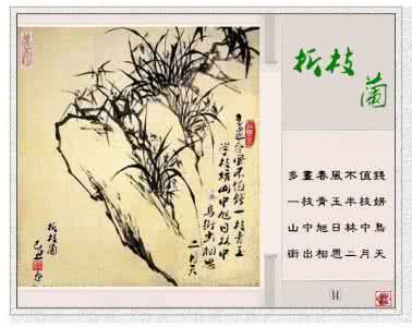兰花图 诗意兰花图
