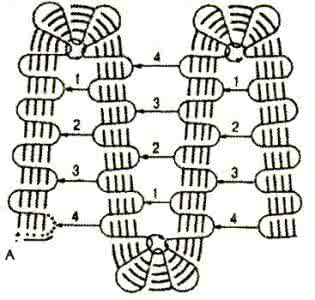 比利时花边图解 比利时花边----基础针法