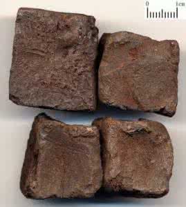 儿茶素 儿茶Ercha