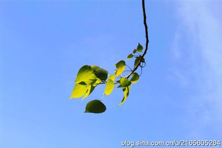 经典句子句句穿心 句句穿心866